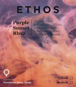 Ethos Purple Sunset rbx2