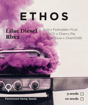 Ethos Lila Diesel RBX2