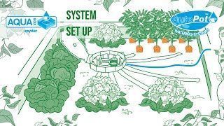 AutoPot AQUAbox Spyder in use irrigating a vegetable bed