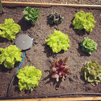 AutoPot AQUAbox Spyder watering mats and outlet detail