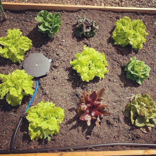 AutoPot AQUAbox Spyder watering mats and outlet detail