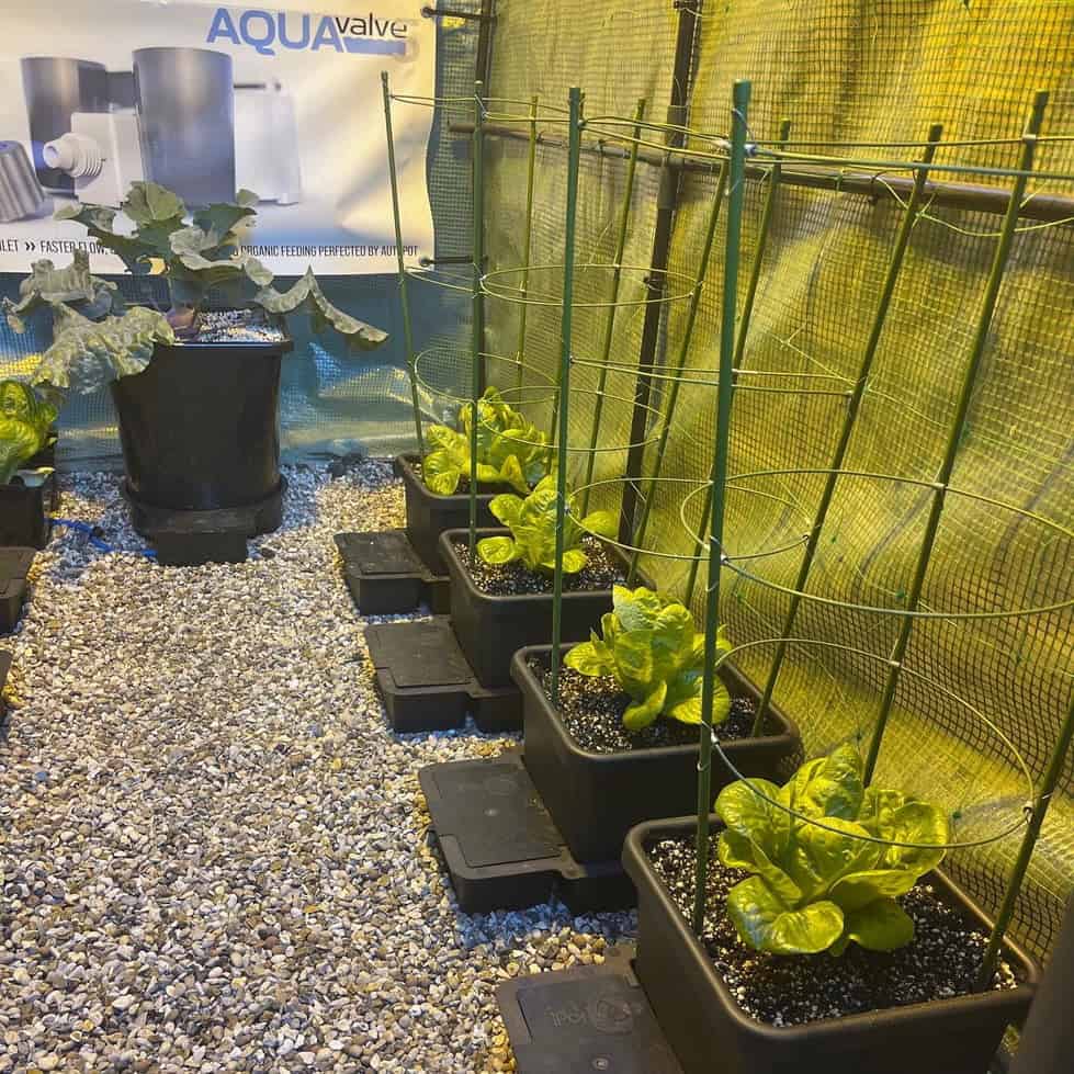 AutoPot 1Pot System 15-litre pot standing on its watering tray