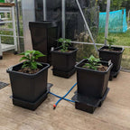 AutoPot 1Pot System AQUAvalve5 shown in close-up detail