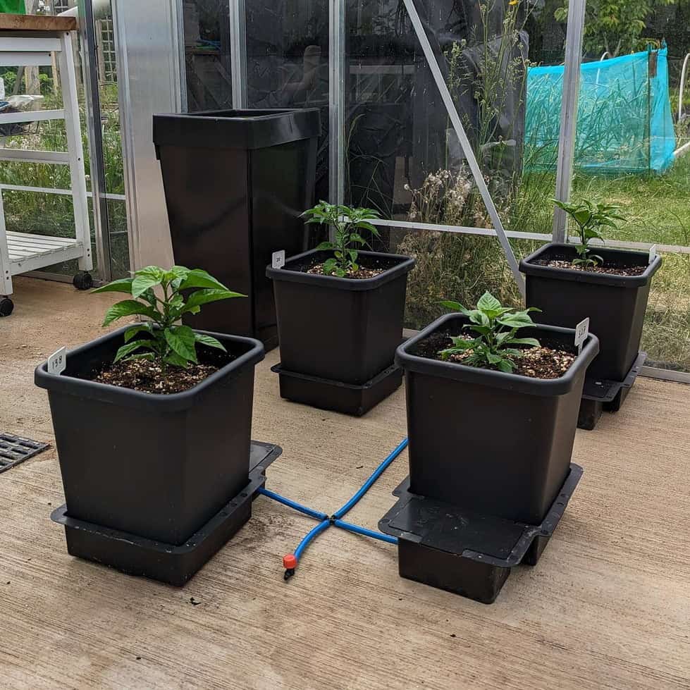 AutoPot 1Pot System AQUAvalve5 shown in close-up detail