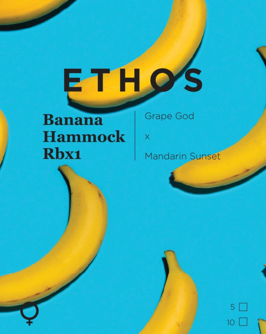 Ethos Banana Hammock RBX1