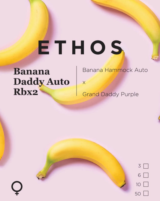 Ethos  Banana Daddy Auto RBX2