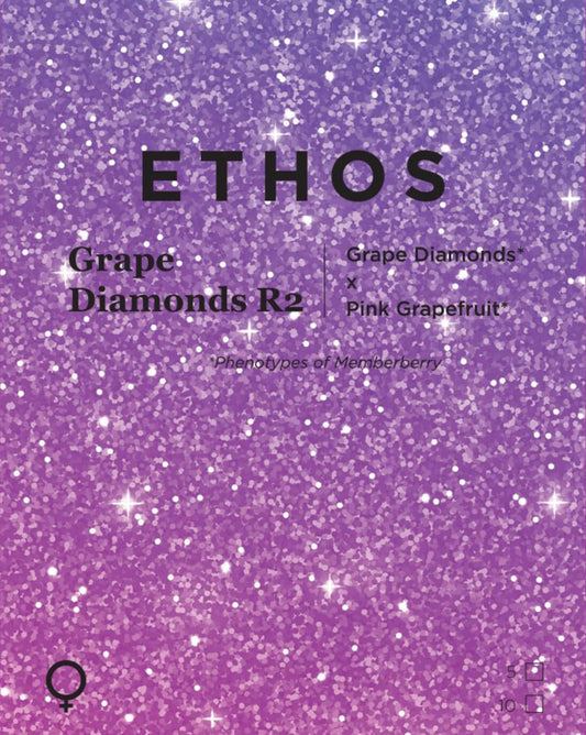 Ethos Grape Diamonds R2