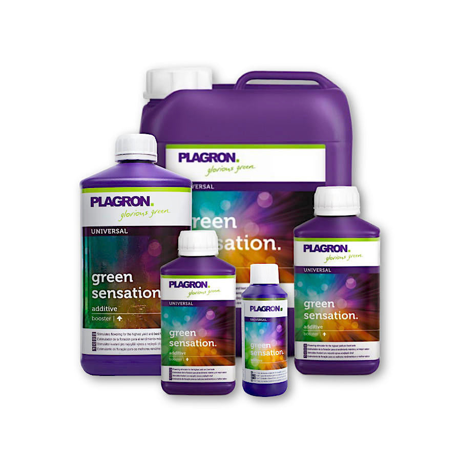 Plagron Green Sensation 4-in-1 bloom booster bottle, front view