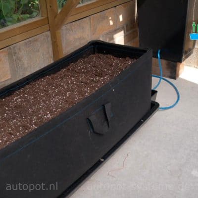 AutoPot Tray2Grow Planter fitted onto the Tray2Grow system