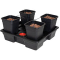 Sistema Atami Wilma Large 4 Plantas Vasos 18L Completo