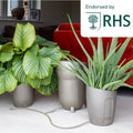 AutoPot Khloris Bewässerungssystem Sage