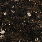 Biobizz All-Mix soil texture close-up with perlite