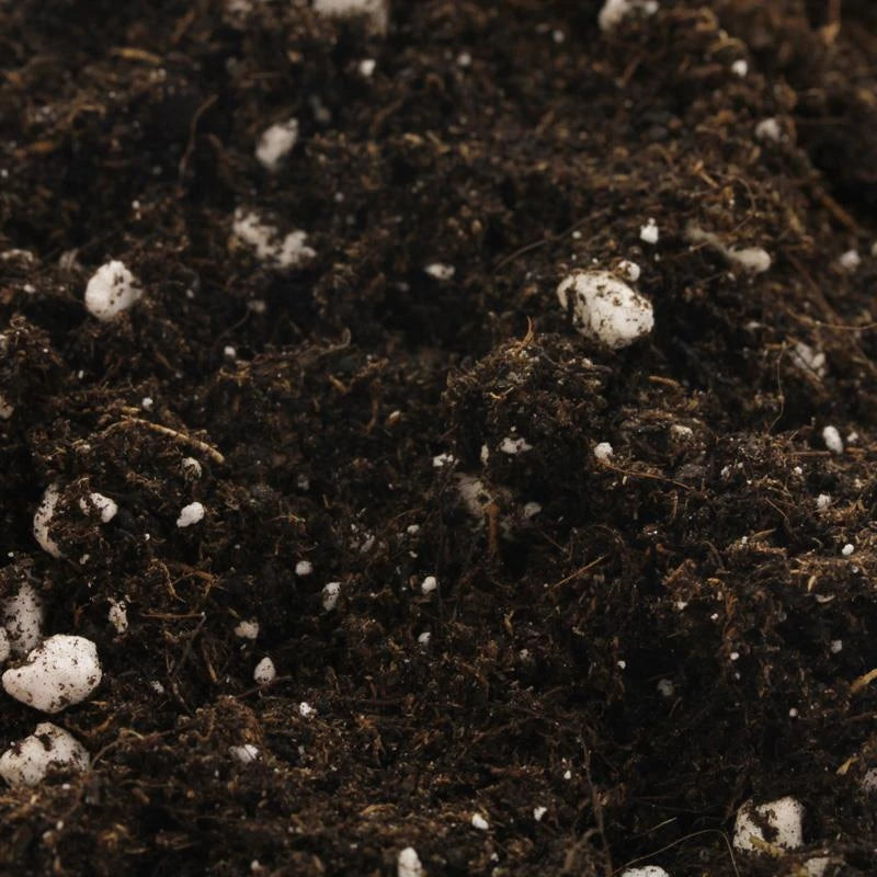 Biobizz All-Mix soil texture close-up with perlite