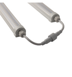 Caluma LED Stripes Grow 18W strip mounted above young plants