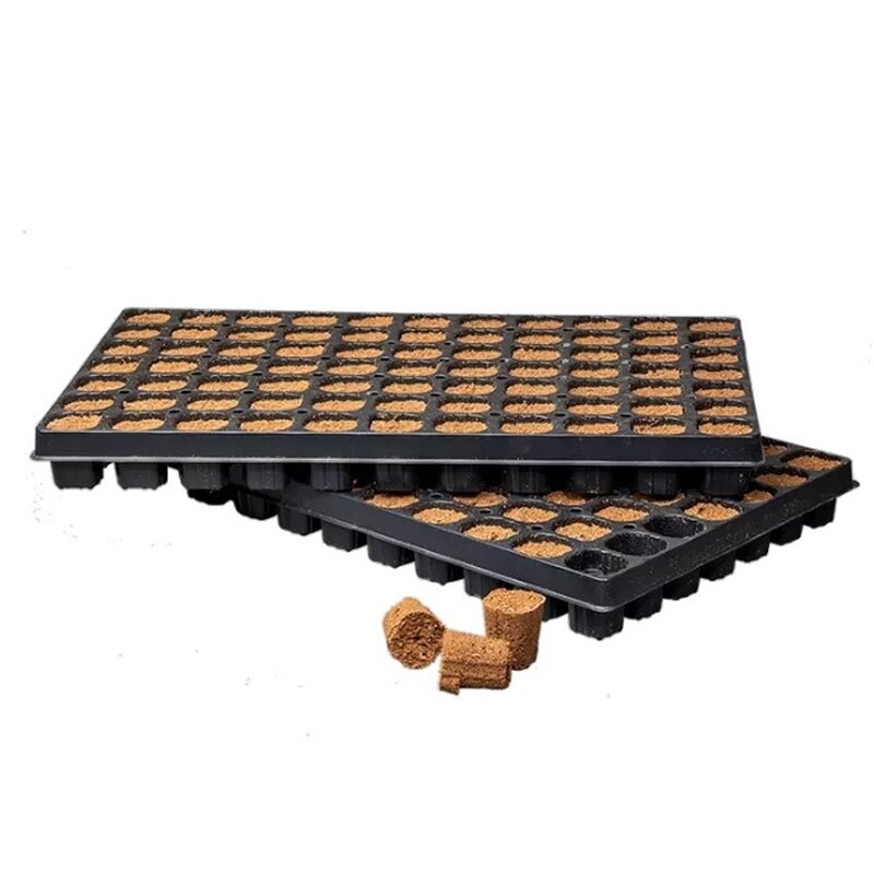 Canna Rootplugs Tray 77pc