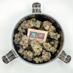 CVault container open showing the Boveda humidity pack holder in the lid