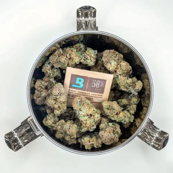 CVault container open showing the Boveda humidity pack holder in the lid