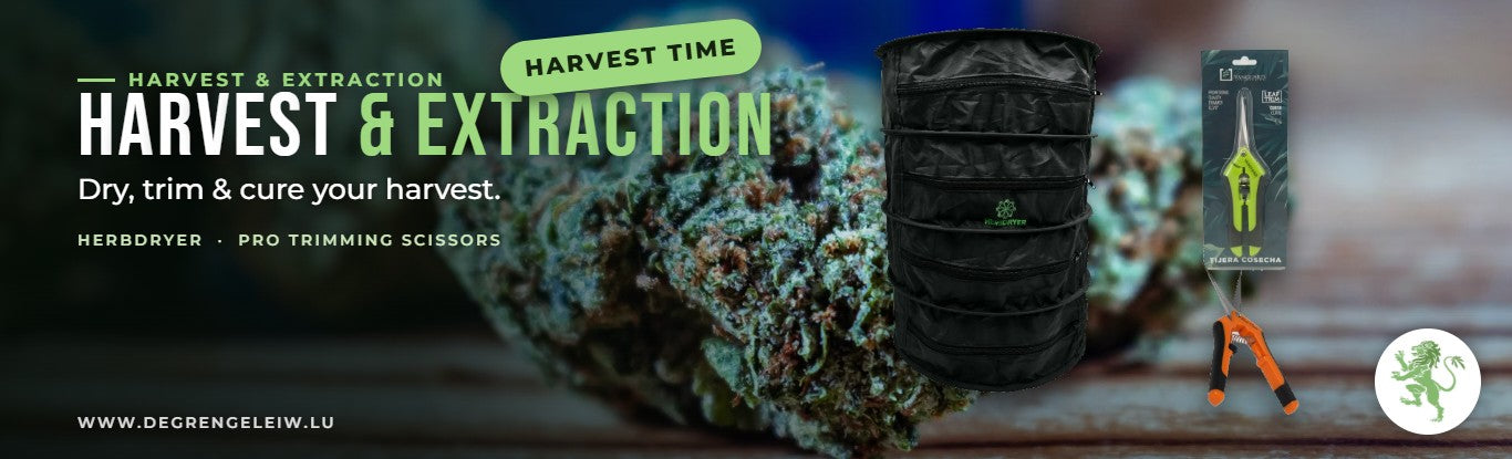 Grow Shop — Ernte & Extraktion