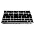 Plateau de bouturage Eazy Plug 77 cellules vide