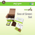 Kit Eazy Plug Sea of Green