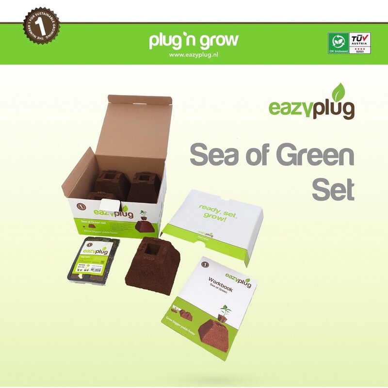 Kit Eazy Plug Sea of Green