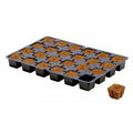 Plateau de bouturage Eazy Plug 24 pièces