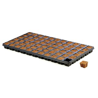 Plateau de bouturage Eazy Plug 66 pièces CT66