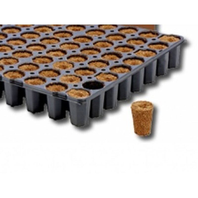 Tabuleiro de Propagação Eazy Plug CT104CR Redondo Grande