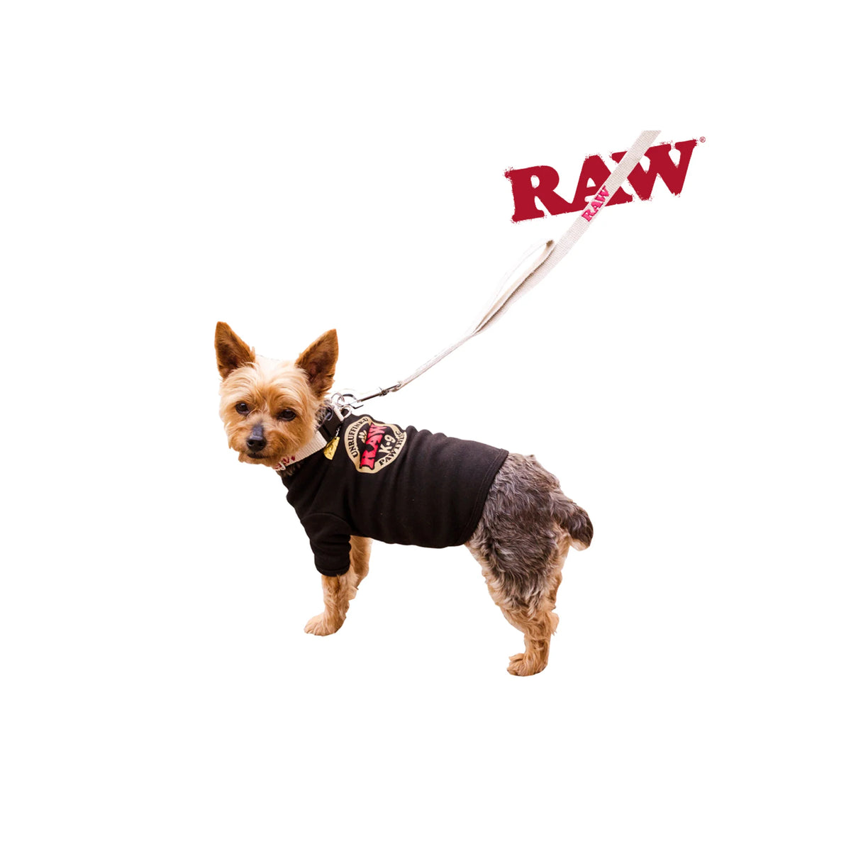 RAW Dog Hamp Leash coiled, showing hemp weave and durable clip detail