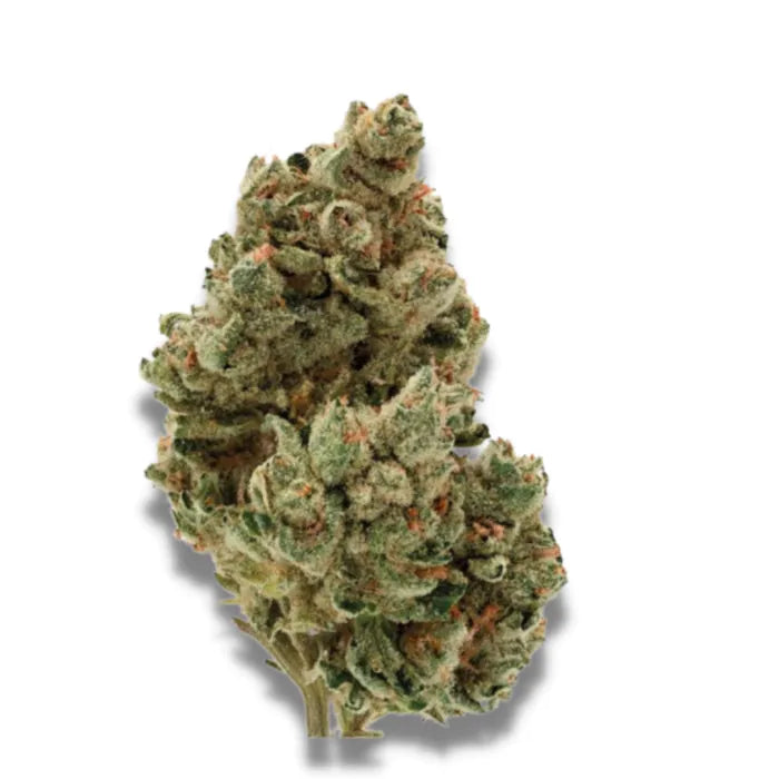 Gelato glacé Growers Choice FEM