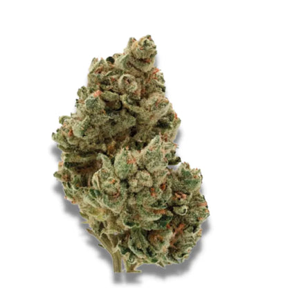 Gelato glacé Growers Choice FEM