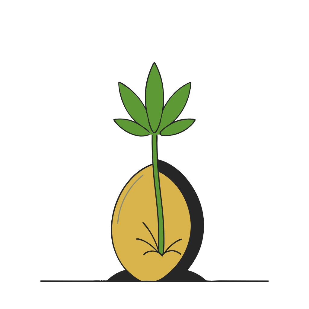 Alt Image