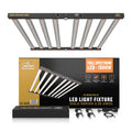 Lumen King Gold Series 1000W LED