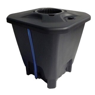 Sistema Oxypot Single DWC