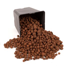 Plagron Euro Pebbles clay granules close-up detail