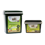 BioTabs Silicium Flash organic silicon plant booster packaging