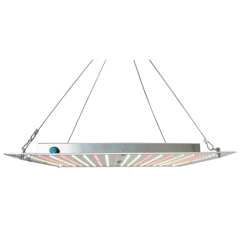 Romberg Grower LED-Growlampe 70W