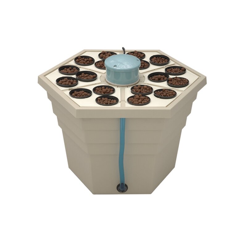 T.A. Rainforest 2 for 18 Plants 3"