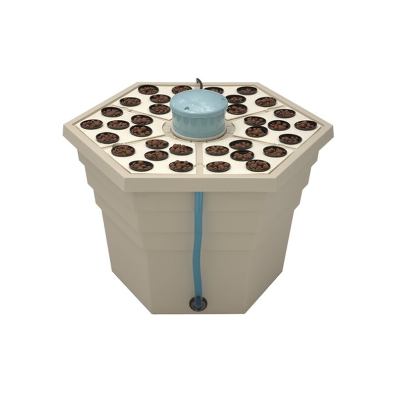 T.A. Rainforest 2 für 36 Pflanzen 2"