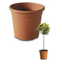Vaso Athena Redondo Terracota D:30cm 18L