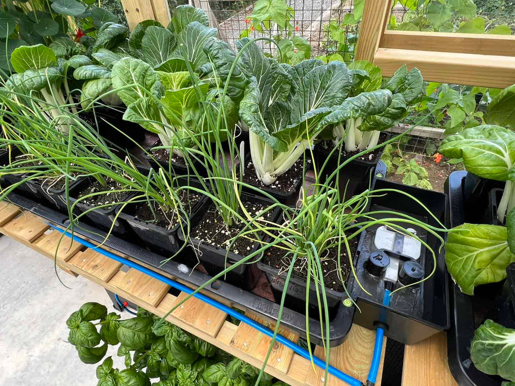 AutoPot Tray2Grow Planter seen from above showing its capacity