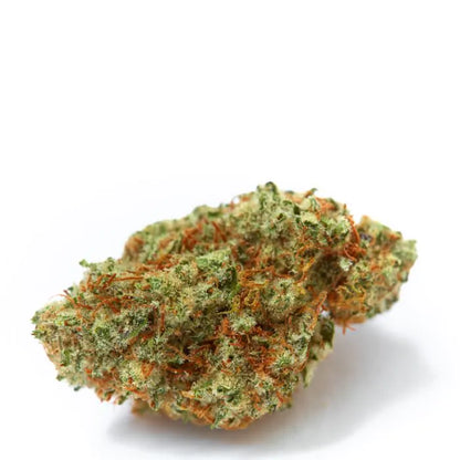 Growers Choice White Fire OG FEM