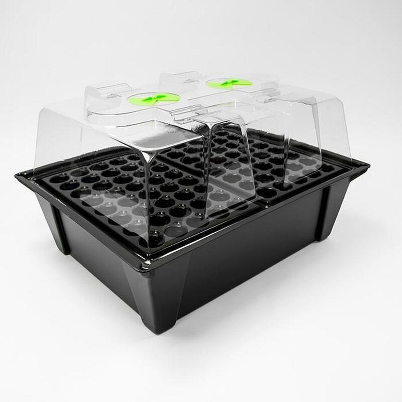 X-Stream 80 Hydro Propagator